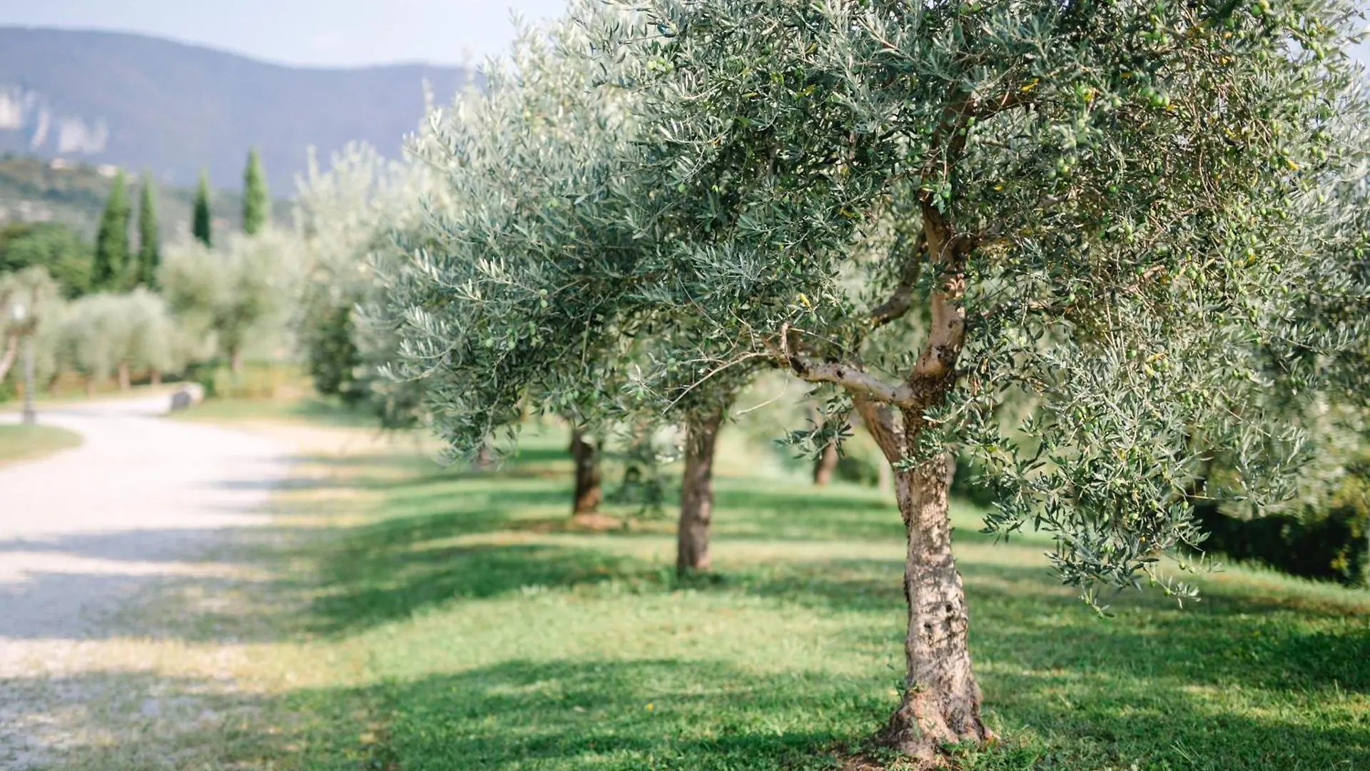 Vakantieboerderij Tenuta La Presa Caprino Veronese