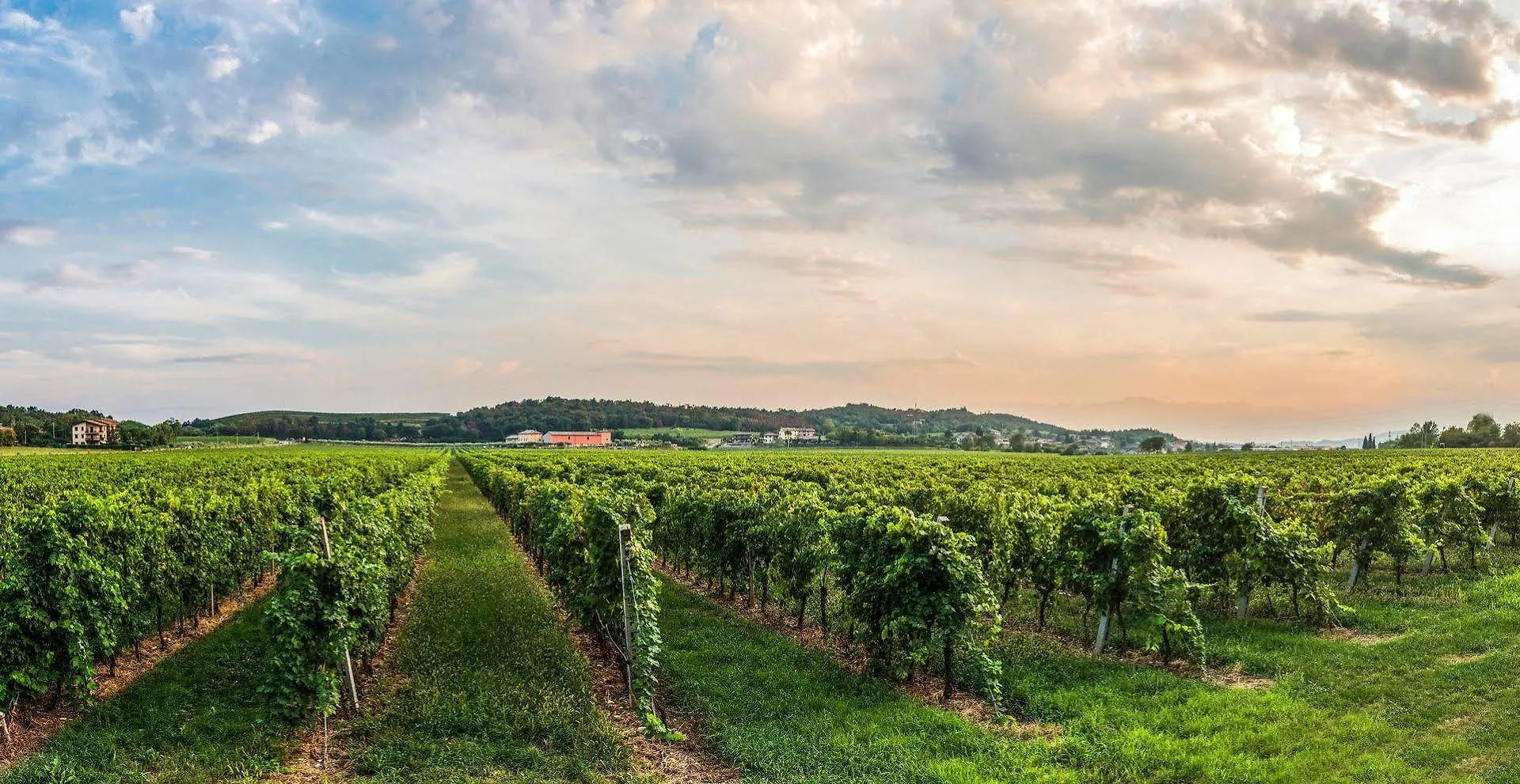 Tenuta La Presa Caprino Veronese Italië
